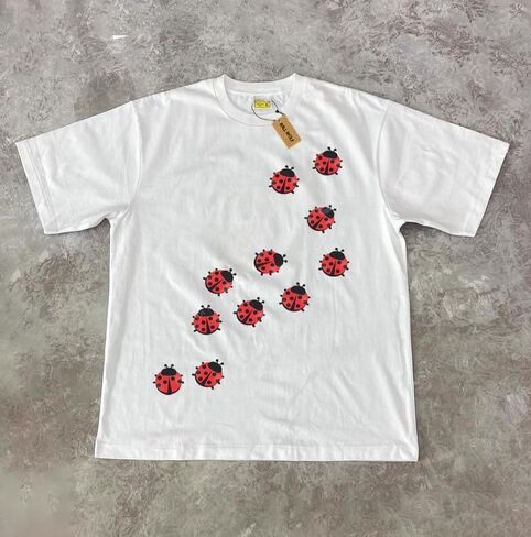 Whimsy Twee Clothes for Women Oversize Graphic Ladybug Tee Y2k Fashion Whimsical Clothes Streetwear in Kuwait