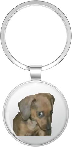 dog side eye Stainless Steel Keychain with Ring in Kuwait
