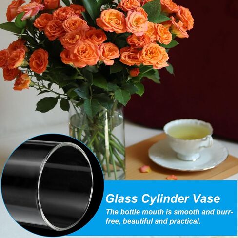 Clear Glass Cylinder Vase, 5.9" Tall and 2" Dia Tabletop Flowers Vase Floating Candle Holder Vase for Home Decor Wedding Centerpieces(8oz) in Saudi Arabia