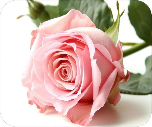 Rose Flower Love Mouse Pad Mat Mousepad for Desk Computer Laptop PC Gaming Home or Office Gift Valentine's for Her Roses (Red 1 MP72) in Saudi Arabia