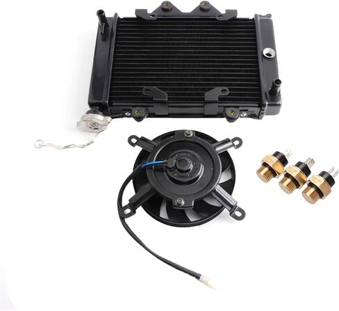 200cc 250CC Water cooling engine cooler Radiator cooling 12v fan for motorcycle distintivo(C-65 degrees) in Saudi Arabia