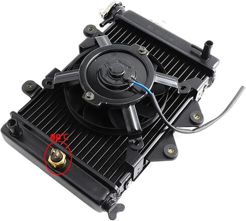 200cc 250CC Water cooling engine cooler Radiator cooling 12v fan for motorcycle distintivo(C-65 degrees) in Saudi Arabia