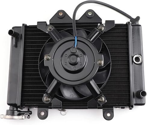 200cc 250CC Water cooling engine cooler Radiator cooling 12v fan for motorcycle distintivo(C-65 degrees) in Saudi Arabia