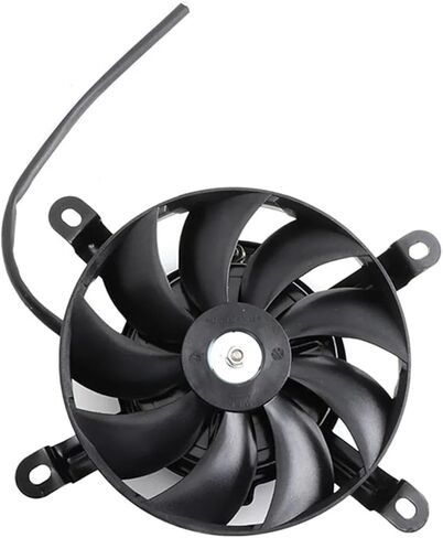 200cc 250CC Water cooling engine cooler Radiator cooling 12v fan for motorcycle distintivo(C-65 degrees) in Saudi Arabia