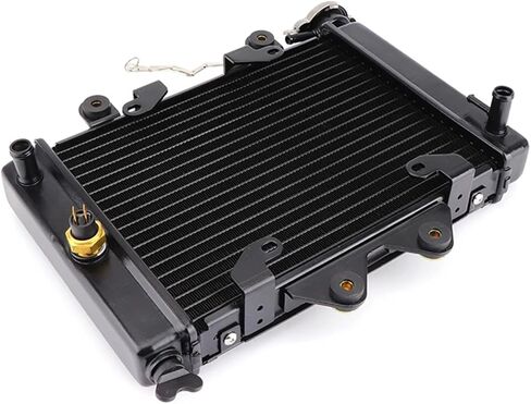 200cc 250CC Water cooling engine cooler Radiator cooling 12v fan for motorcycle distintivo(C-65 degrees) in Saudi Arabia