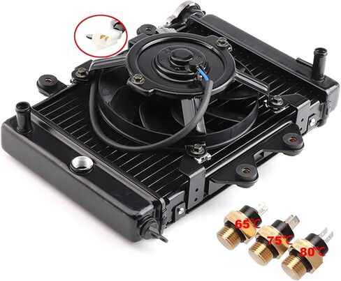 200cc 250CC Water cooling engine cooler Radiator cooling 12v fan for motorcycle distintivo(C-65 degrees) in Saudi Arabia
