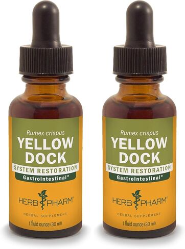 Herb Pharm Yellow Dock Liquid Extract for Digestive System Support - 1 Ounce in Kuwait