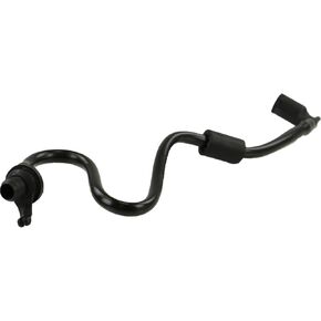 رين - خرطوم الاستراحة in Kuwait