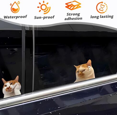 قطعتان من ملصقات ميمي للسيارة والقطط، ملصق من الفينيل مضحك للقطط لأبواب نوافذ المركبات والشاحنات، ديكور سيارات لطيف (4 بوصات) in Kuwait