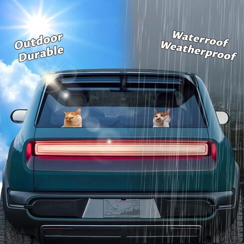 قطعتان من ملصقات ميمي للسيارة والقطط، ملصق من الفينيل مضحك للقطط لأبواب نوافذ المركبات والشاحنات، ديكور سيارات لطيف (4 بوصات) in Kuwait