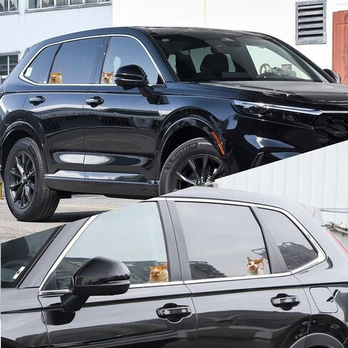 قطعتان من ملصقات ميمي للسيارة والقطط، ملصق من الفينيل مضحك للقطط لأبواب نوافذ المركبات والشاحنات، ديكور سيارات لطيف (4 بوصات) in Kuwait