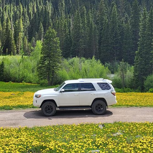 2 قطعة 42 × 90 سم ملصق لاصق على شكل زهور الكركديه للنافذة الجانبية العالمية للسيارة، ملصق زهرة الكركديه من الفينيل الأسود غير اللامع لنافذة السيارة in Kuwait