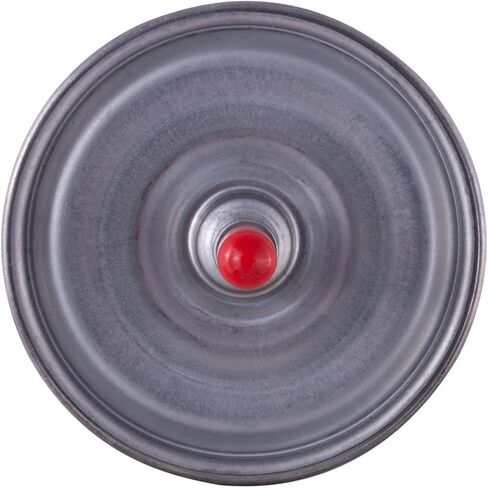 فلتر الوقود في الخط متوافق مع فورد رينجر 2.3L L4 GAS 1994 1993 1992 1991 1990 1989 1988 1987 1986 1985 P-3530217 in Kuwait