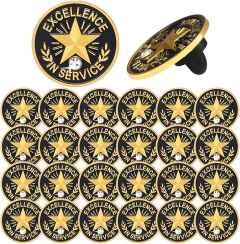 24PCS Excellence in Service Gold Star Lapel Pins with Rhinestone, Employee Recognition Award Badges for Staff Appreciation, Workplace Service Honor Pins Bulk 24 pcs S600 Brooch in Kuwait