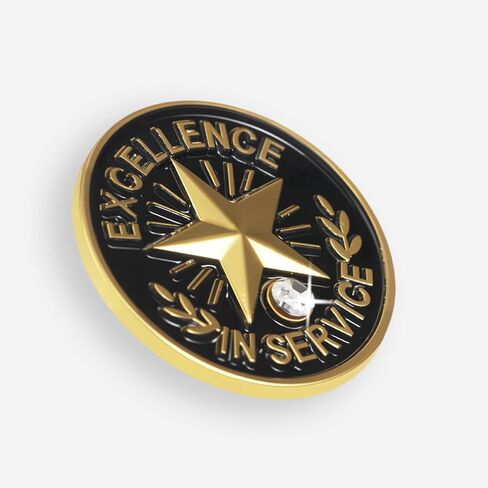 24PCS Excellence in Service Gold Star Lapel Pins with Rhinestone, Employee Recognition Award Badges for Staff Appreciation, Workplace Service Honor Pins Bulk 24 pcs S600 Brooch in Kuwait