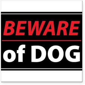 CafePress Beware of Dog مغناطيس السيارة المربع 3 × 3 مغناطيس السيارة المربع، عرض المصد المغناطيسي in Kuwait