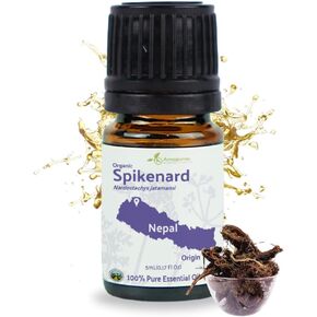 Organic Cinnamon Essential Oil - Direct from Sri Lankan Essential Oils - 100% Pure - Natural Aceite de Canela for Aromatherapy & Wellness - Premium Grade (15ml) in Kuwait