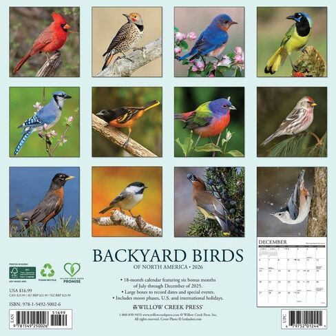 Willow Creek Press, Backyard Birds 2026 Wall Calendar, 12'' X 12'', 18-Month Calendar with Stapled Binding in Saudi Arabia