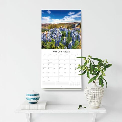 Red Robin 2026 Seasons Monthly Wall Calendar | 12" x 24" Open | Premium Thick & Sturdy Paper | Hangable 12 Month Calendar | Lined Notes & To Do Area | Vivid Images | Plastic Free in Saudi Arabia