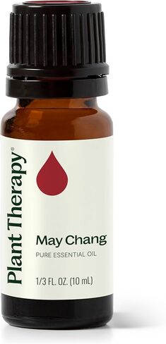Plant Therapy May Chang (Litsea Cubeba) Essential Oil 30 mL (1 oz) 100% Pure, Undiluted, Therapeutic Grade in Kuwait