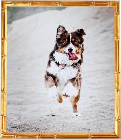 إطار صورة ذهبي ArtToFrames مقاس 24 × 36 بوصة، إطار الملصق المخصص هذا مقاس 0.75 بوصة هو .75 - يأتي مع دعم أكريليك اقتصادي ومموج (WOMD8576-24x36) in Kuwait