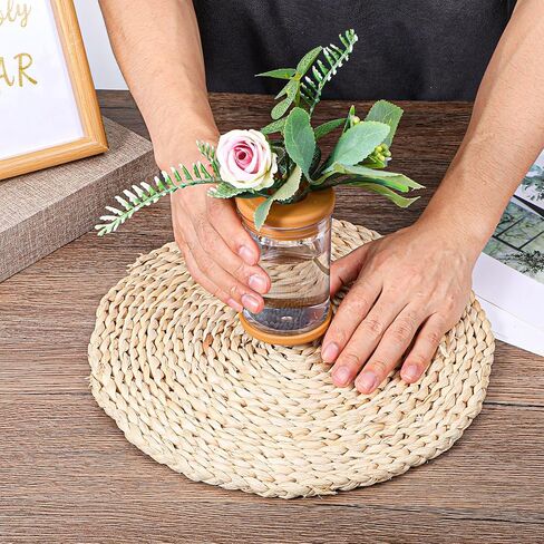 18 Packs Plant Propagation Station, Clear Plastic Test Tube Vases with Hole Lids for Water Propagation, Hydroponic Growing for Home Office Desktop Decoration in Kuwait