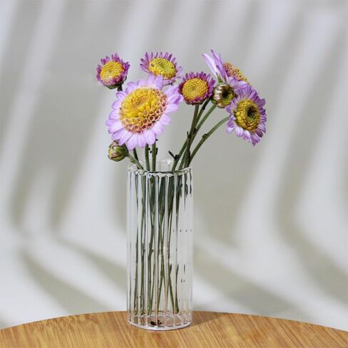 2Pcs Clear Mini Vase, Miniature Vases, Cat Whisker Vase, Miniature Stuff for Tiny Houses Decoration DIY Micro Landscape Items in Kuwait