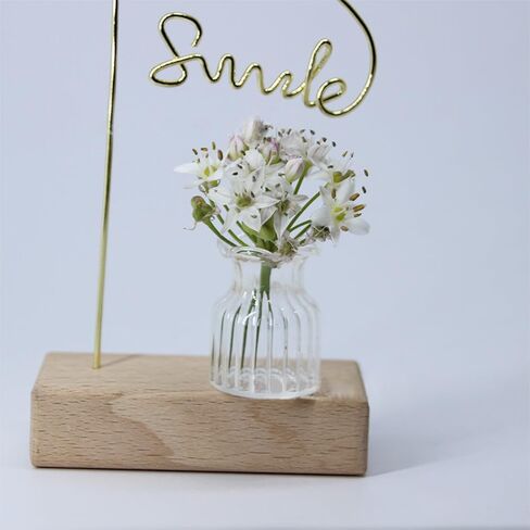 2Pcs Clear Mini Vase, Miniature Vases, Cat Whisker Vase, Miniature Stuff for Tiny Houses Decoration DIY Micro Landscape Items in Kuwait