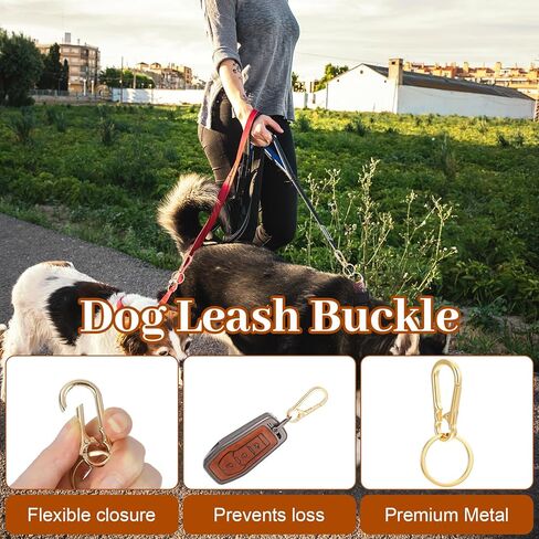 سلاسل المفاتيح المعدنية كيرينغ سلسلة المفاتيح حلقة كليب حامل المنظم، 4 قطع مجموعة مقاطع سلسلة المفاتيح، حلقات المفاتيح السائبة، حلقات المفاتيح للمنزل مفاتيح السيارة مكتشف النساء الرجال (4 ألوان) in Kuwait