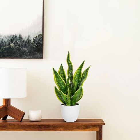 Hollyone نبات الأفعى الاصطناعي بوعاء نباتات Sansevieria Trifasciata، 18 بوصة نباتات استوائية وهمية في أوعية بيضاء للمنزل والمكتب وغرفة الديكور الداخلي وهدايا الانتقال إلى المنزل in Saudi Arabia