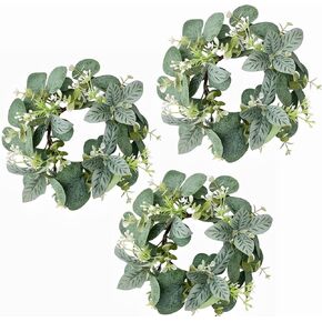 إكليل صناعي من الأوكالبتوس مقاس 25.4 سم، إكليل من أوراق الأوكالبتوس الصناعية، إكليل للخزانة، إكليل أخضر صناعي للباب الأمامي، ونافذة حائط المزرعة، ديكور منزلي للزفاف، 5 قطع in Kuwait