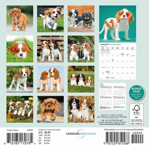 Carousel Calendars, Cavalier King Charles Puppies 2026 Mini Wall Calendar, 7'' X 7'', 16-Month Calendar with Stapled Binding in Kuwait