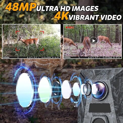 كاميرا Mini Trail 3 حزم، كاميرا ألعاب بدقة 4K بدقة 36 ميجابكسل مع شاشة LCD مقاس 2.0 بوصة، كاميرا صيد مع حركة رؤية ليلية مقاومة للماء، زاوية واسعة 120 درجة مع عدم وجود مصابيح LED متوهجة للحياة البرية في الهواء الطلق in Kuwait