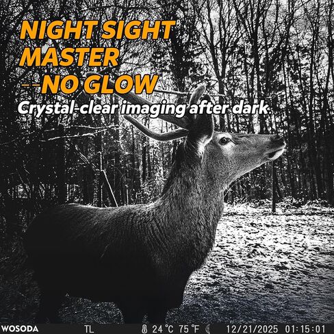 كاميرا Mini Trail 3 حزم، كاميرا ألعاب بدقة 4K بدقة 36 ميجابكسل مع شاشة LCD مقاس 2.0 بوصة، كاميرا صيد مع حركة رؤية ليلية مقاومة للماء، زاوية واسعة 120 درجة مع عدم وجود مصابيح LED متوهجة للحياة البرية في الهواء الطلق in Kuwait