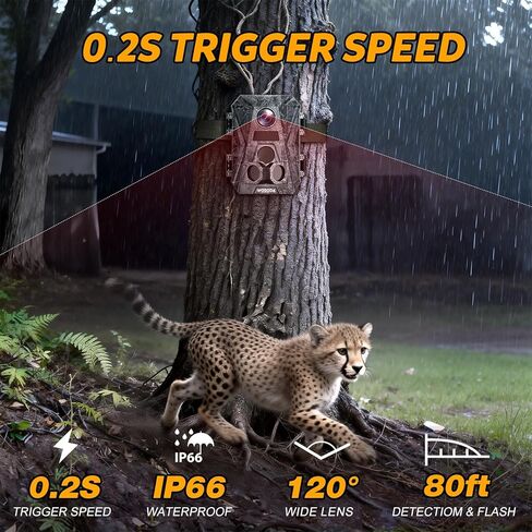 كاميرا Mini Trail 3 حزم، كاميرا ألعاب بدقة 4K بدقة 36 ميجابكسل مع شاشة LCD مقاس 2.0 بوصة، كاميرا صيد مع حركة رؤية ليلية مقاومة للماء، زاوية واسعة 120 درجة مع عدم وجود مصابيح LED متوهجة للحياة البرية في الهواء الطلق in Kuwait