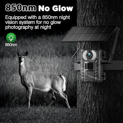 VOOPEAK Trail Camera 2 Pack، كاميرات الحياة البرية 2K 36MP كاميرا ألعاب بفاصل زمني مع بطاقات SD سعة 32 جيجابايت، وقت الزناد السريع للرؤية الليلية بالأشعة تحت الحمراء يتم تنشيط حركة الرؤية الليلية لمراقبة الصيد في الهواء الطلق in Kuwait