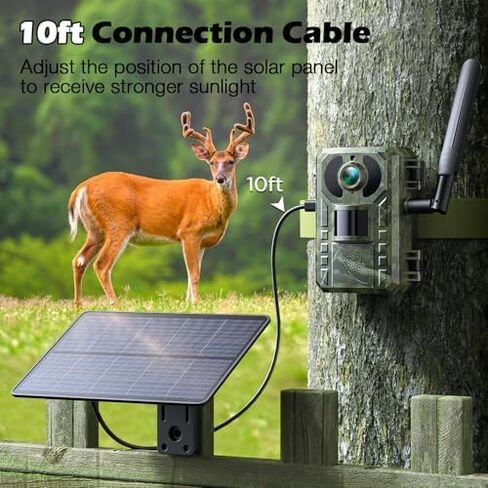 VOOPEAK Trail Camera 2 Pack، كاميرات الحياة البرية 2K 36MP كاميرا ألعاب بفاصل زمني مع بطاقات SD سعة 32 جيجابايت، وقت الزناد السريع للرؤية الليلية بالأشعة تحت الحمراء يتم تنشيط حركة الرؤية الليلية لمراقبة الصيد في الهواء الطلق in Kuwait