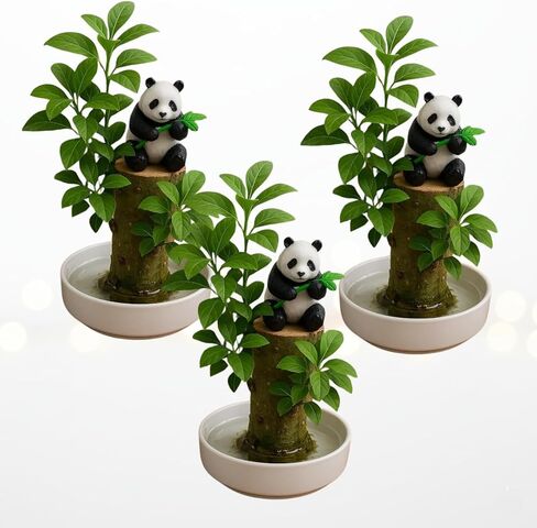 3 Pack - Lucky Money Desktop Tree with Water Trays and Panda Figurines - Lucky Willow Wood Cuttings, Great for Desk, Counter or Window - Brings Luck and Joy to Your Office or Home - Great Office Gift in Kuwait