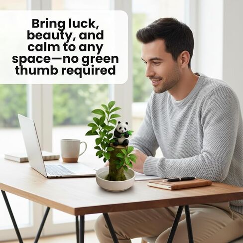 3 Pack - Lucky Money Desktop Tree with Water Trays and Panda Figurines - Lucky Willow Wood Cuttings, Great for Desk, Counter or Window - Brings Luck and Joy to Your Office or Home - Great Office Gift in Kuwait