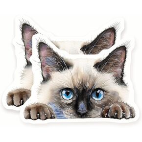 Siamese Cat Stickers - Peeking Kitten - Cute Feline - 2 Pack - 5" Wide Design - Adheres to Laptops, Tumblers, and More – Made in The USA - AQS7682 in Kuwait