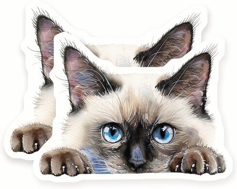 ملصقات قطة سيامية - قطة خاطفة - قطة لطيفة - عبوتان - تصميم بعرض 5 بوصات - تلتصق بأجهزة الكمبيوتر المحمولة والأكواب والمزيد - صُنعت في الولايات المتحدة الأمريكية - AQS7682 in Kuwait