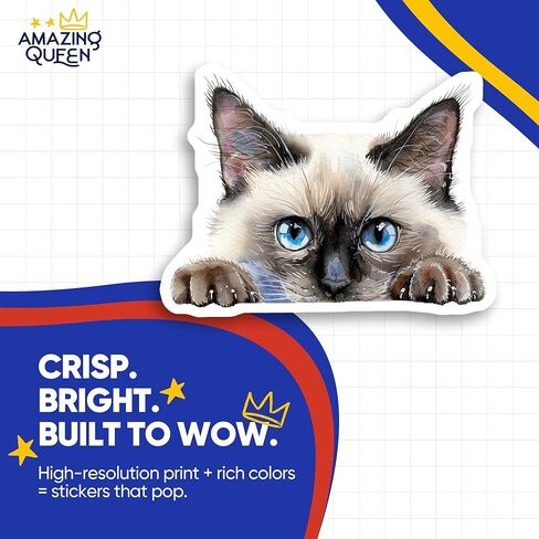 ملصقات قطة سيامية - قطة خاطفة - قطة لطيفة - عبوتان - تصميم بعرض 5 بوصات - تلتصق بأجهزة الكمبيوتر المحمولة والأكواب والمزيد - صُنعت في الولايات المتحدة الأمريكية - AQS7682 in Kuwait