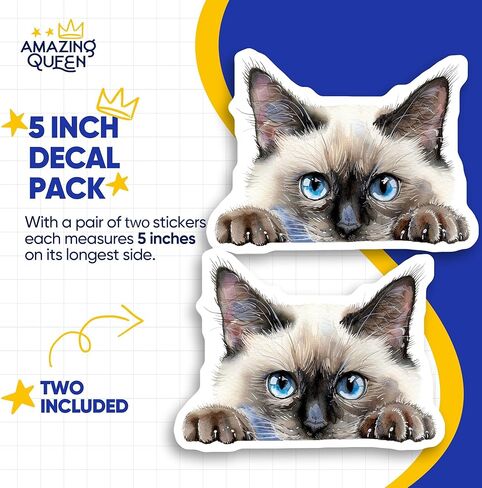 ملصقات قطة سيامية - قطة خاطفة - قطة لطيفة - عبوتان - تصميم بعرض 5 بوصات - تلتصق بأجهزة الكمبيوتر المحمولة والأكواب والمزيد - صُنعت في الولايات المتحدة الأمريكية - AQS7682 in Kuwait