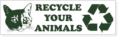 CafePress Recycle Your Animals 10"x3" Rectangle Vinyl Bumper Sticker Car Decal in Saudi Arabia
