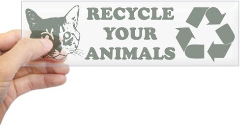 CafePress Recycle Your Animals 10"x3" Rectangle Vinyl Bumper Sticker Car Decal in Saudi Arabia