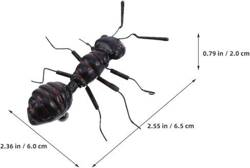 4 قطعة نماذج النمل محاكاة شخصيات النمل واقعية للمنزل والحديقة ديكور داخلي تمثال زخرفة لطيف ديكور للمكتب والمكتب in Kuwait