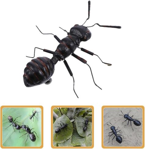 4 قطعة نماذج النمل محاكاة شخصيات النمل واقعية للمنزل والحديقة ديكور داخلي تمثال زخرفة لطيف ديكور للمكتب والمكتب in Kuwait