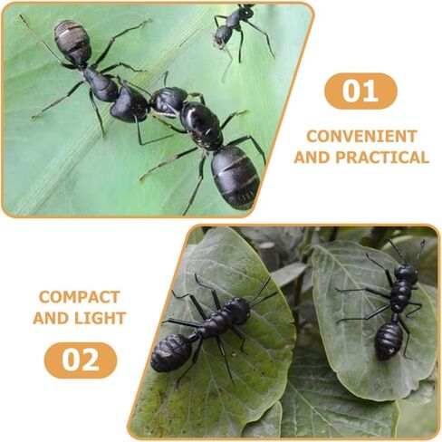 4 قطعة نماذج النمل محاكاة شخصيات النمل واقعية للمنزل والحديقة ديكور داخلي تمثال زخرفة لطيف ديكور للمكتب والمكتب in Kuwait