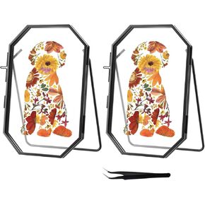 4x 6'' Gold Floating Frame Set Of 2 For Photo Sizes 2x3'',3.5x 5'',4x6'',Brass Metal Lace Edge Frames,Double Glass Adjustable Tabletop/Shelf Photo Frame, Christmas Framed Wall Art Craft Ornaments Classy Gifts in Kuwait