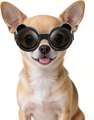 Enjoying Dog Goggles Small Breed, UV Protection Sunglasses for Dogs Small Breed, Windproof Driving Doggy Goggles, Snow Day Dog Eye Protection, Anti-Fog Dustproof, Adjustable Straps, Black in Kuwait